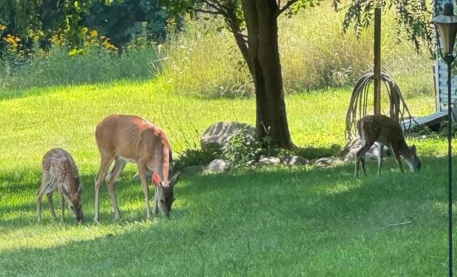 2688 N Goldring Road, La Porte, IN 46350