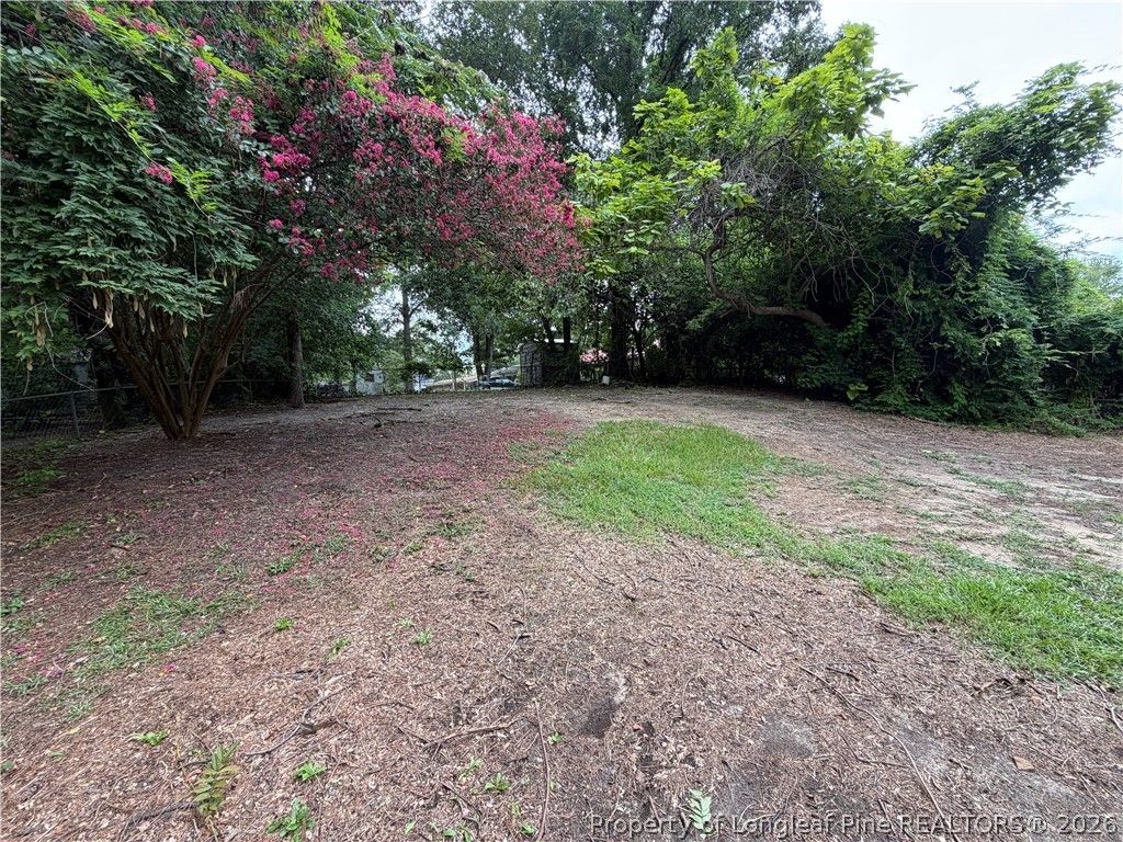 306 Folger Street, Fayetteville, NC 28314 — photo 21