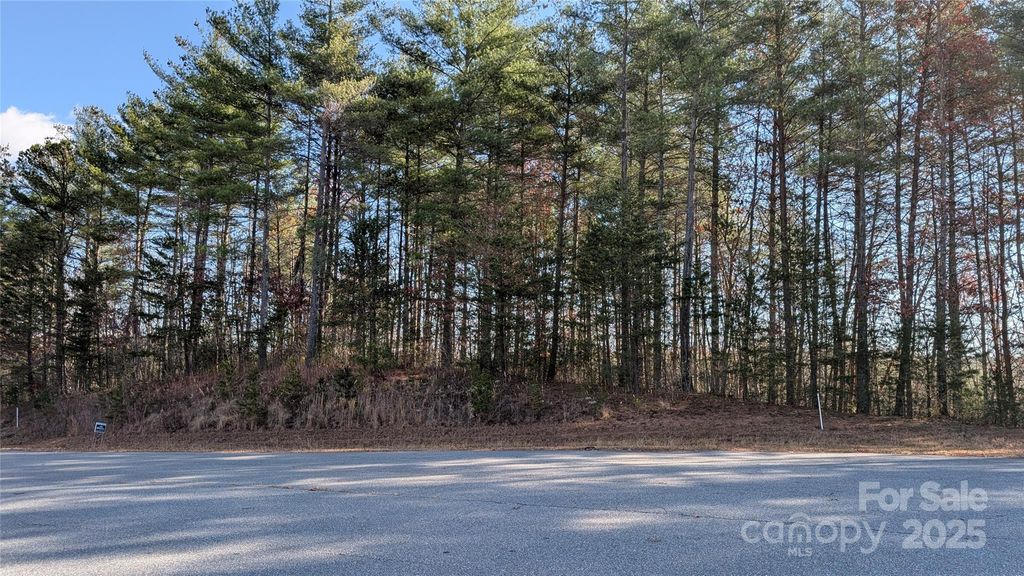 1111 Table View Drive, Morganton, NC 28655