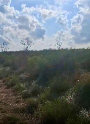 0 County Road 807, Angleton, TX 77515