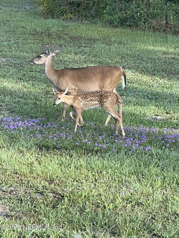 29065 YELLOW OAK Court, Hilliard, FL 32046