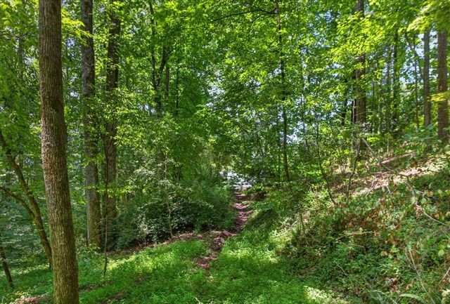 1965 E Highway 52, Ellijay, GA 30536