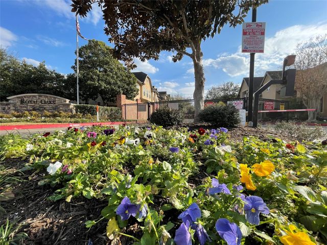 11643 Royal Oaks View, Houston, TX 77082