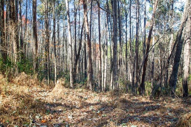 119 Waldrip Road, Dawsonville, GA 30536