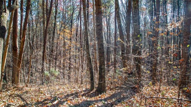 119 Waldrip Road, Dawsonville, GA 30536