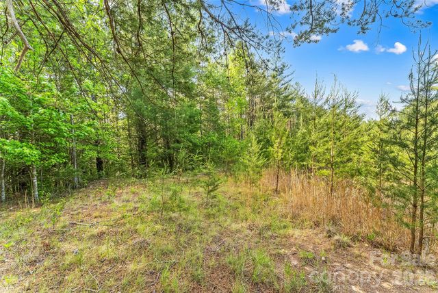 3345 Ella Marie Way 65, Nebo, NC 28761