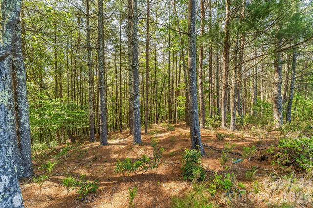 3345 Ella Marie Way 65, Nebo, NC 28761