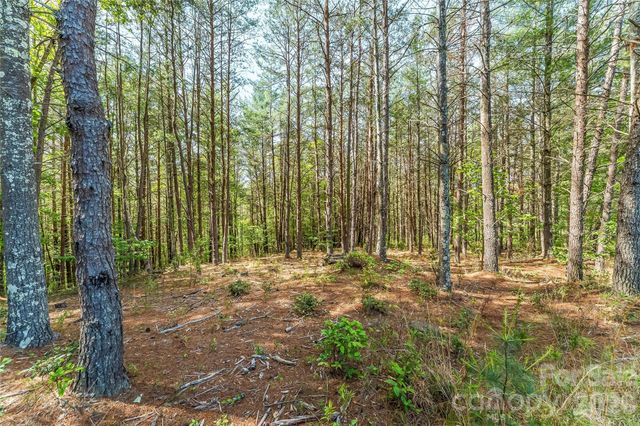 3345 Ella Marie Way 65, Nebo, NC 28761