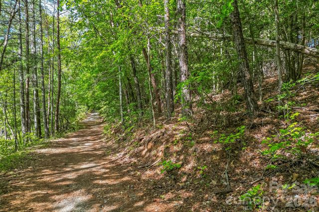 3345 Ella Marie Way 65, Nebo, NC 28761