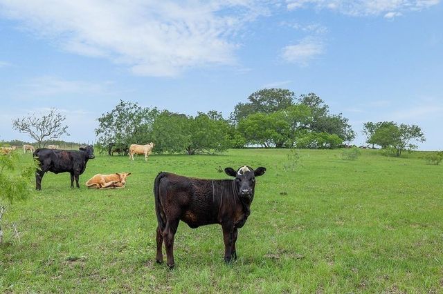 10889 Seydler Road, La Grange, TX 78945