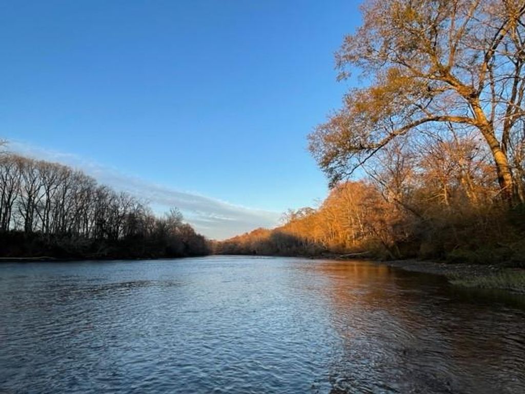 Image 17 of property listing at 420 Reynolds Bridge Road, Kingston, GA 30145