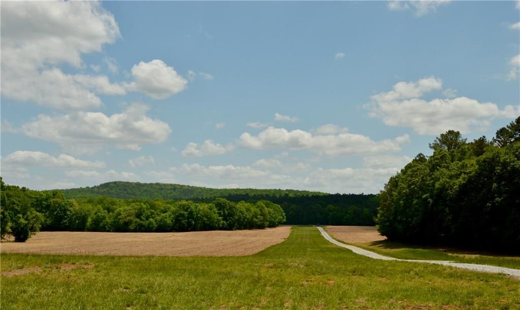 Image 8 of property listing at 420 Reynolds Bridge Road, Kingston, GA 30145