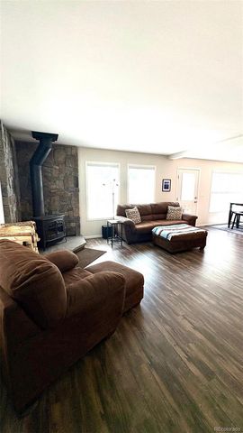 154 Brooklyn Circle, Leadville, CO 80461