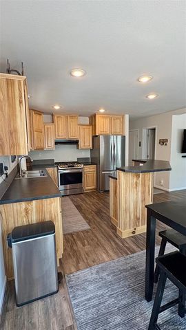 154 Brooklyn Circle, Leadville, CO 80461