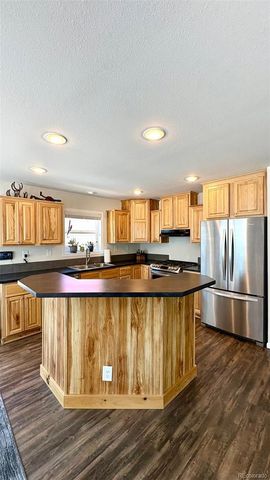 154 Brooklyn Circle, Leadville, CO 80461