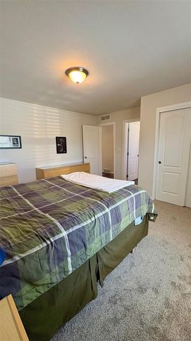 154 Brooklyn Circle, Leadville, CO 80461