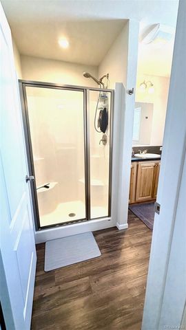 154 Brooklyn Circle, Leadville, CO 80461
