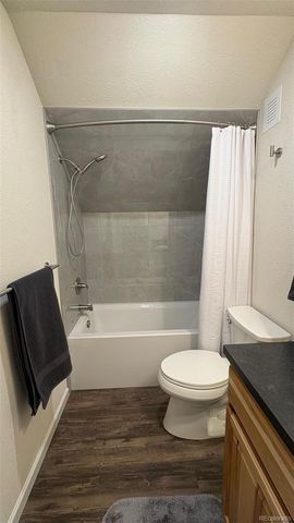154 Brooklyn Circle, Leadville, CO 80461