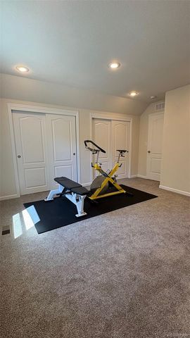 154 Brooklyn Circle, Leadville, CO 80461
