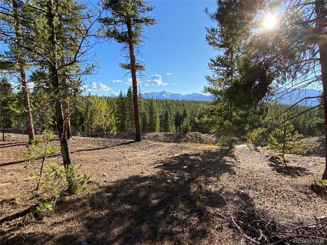 154 Brooklyn Circle, Leadville, CO 80461