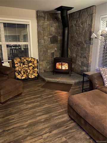 154 Brooklyn Circle, Leadville, CO 80461