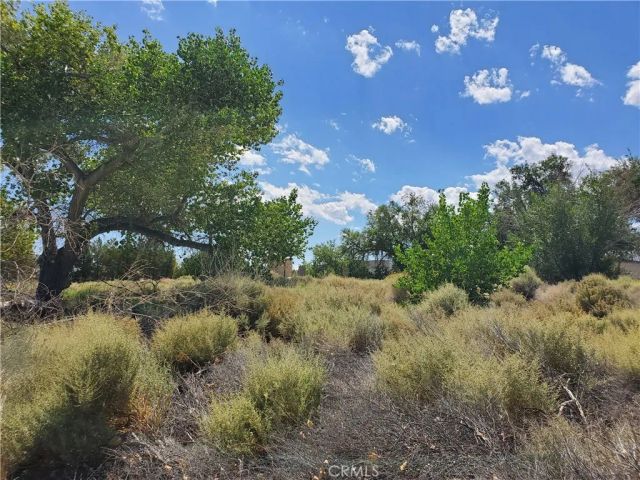 32500 California 18, Lucerne Valley, CA 92356