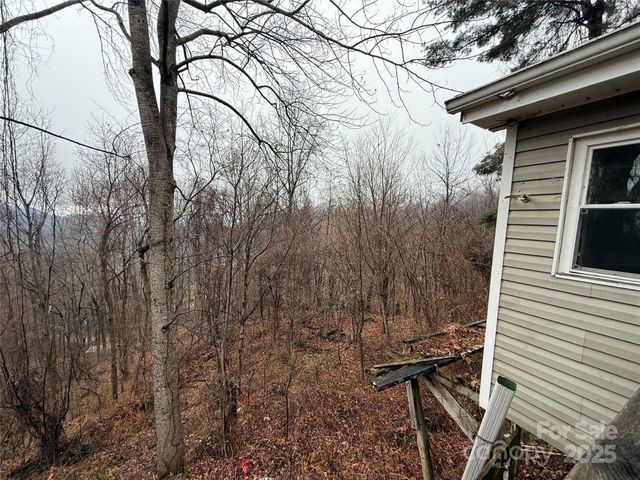 201 Mountain Vista Road, Canton, NC 28716