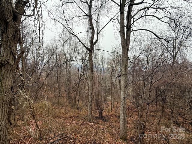 201 Mountain Vista Road, Canton, NC 28716