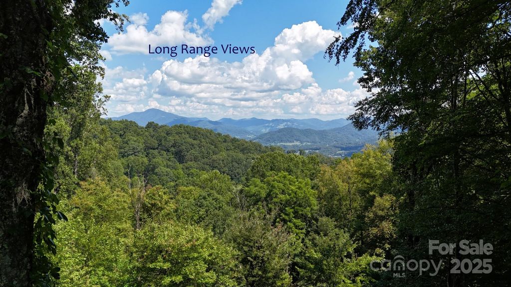 2222 Sleepy Hollow Drive, Waynesville, NC 28785