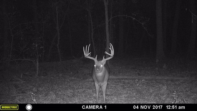 3875 Fm 121, Van Alstyne, TX 75495
