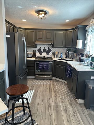 180 Radley Drive, Painesville Twp, OH 44077