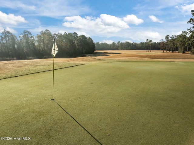 317 Bear Run, Maple Hill, NC 28454