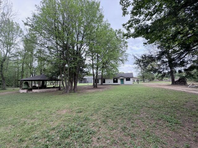 196 County Road 2220, Pittsburg, TX 75686
