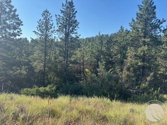 51 Haystack Coulee Road, Reed Point, MT 59069