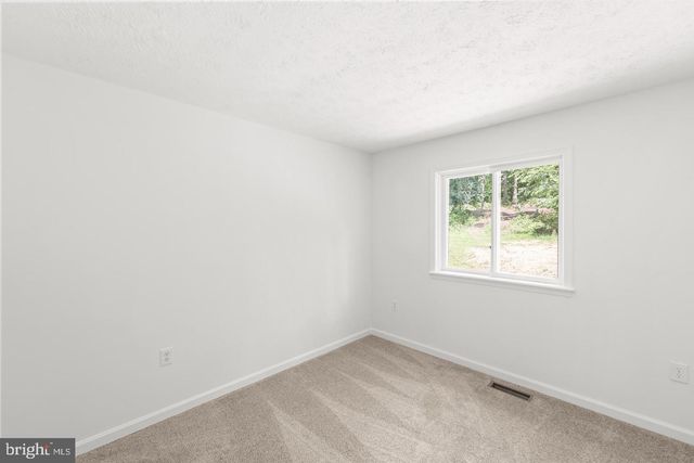 230 BLUE BELL LN, Strasburg, VA 22657