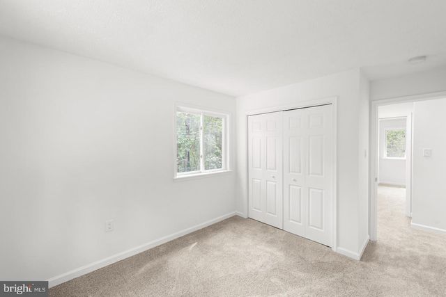 230 BLUE BELL LN, Strasburg, VA 22657