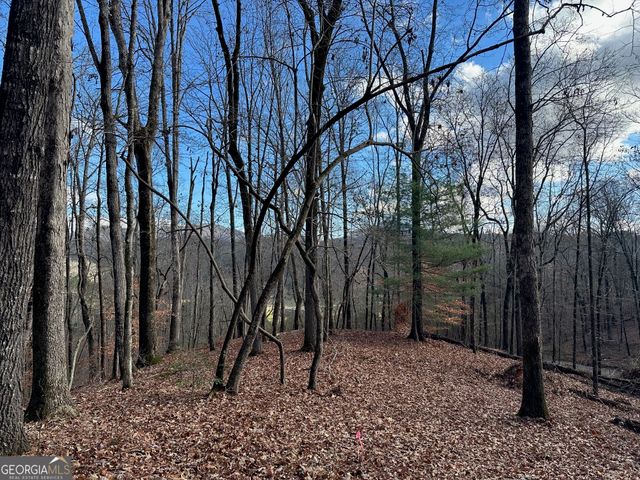 200 Mincey Acres Drive, Murrayville, GA 30564