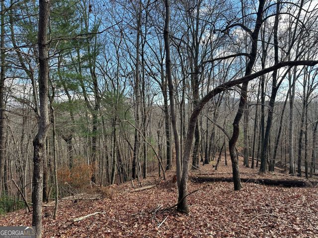 200 Mincey Acres Drive, Murrayville, GA 30564