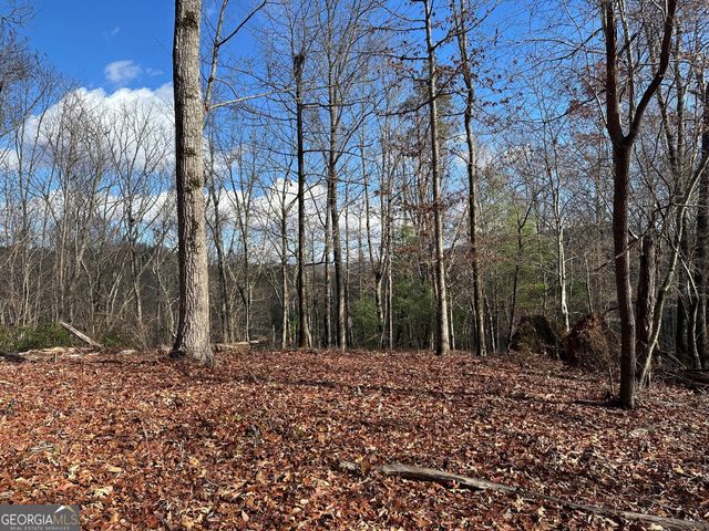 200 Mincey Acres Drive, Murrayville, GA 30564