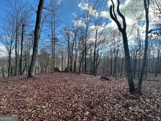 200 Mincey Acres Drive, Murrayville, GA 30564