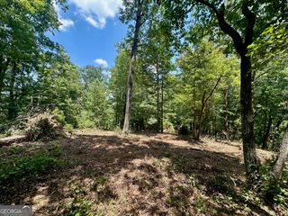 6.2 Mincey Acres Drive, Murrayville, GA 30564