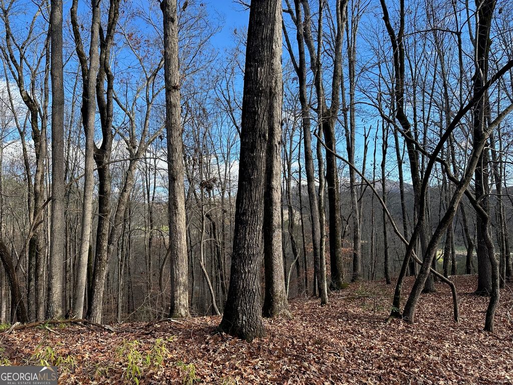 200 Mincey Acres Drive, Murrayville, GA 30564