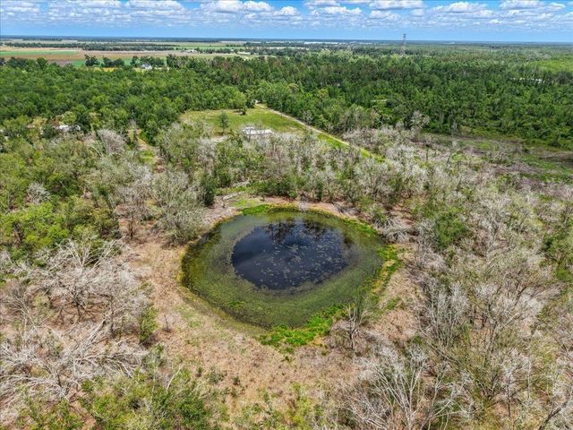 11256 S County Road 53, Lee, FL 32059