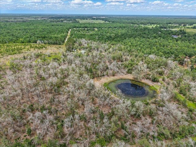 11256 S County Road 53, Lee, FL 32059