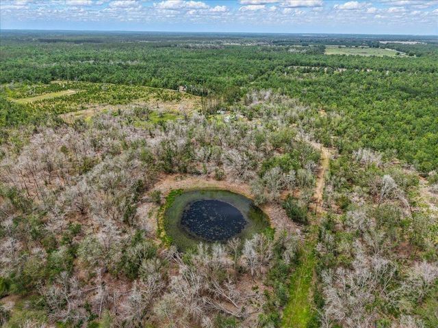 11256 S County Road 53, Lee, FL 32059