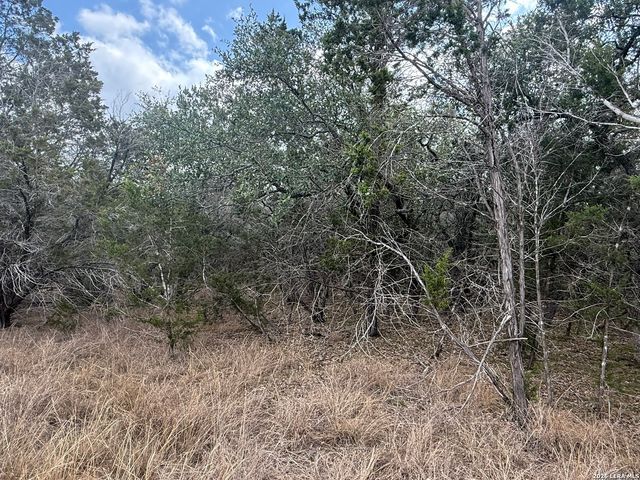 1712 Demi John Bend, Canyon Lake, TX 78133