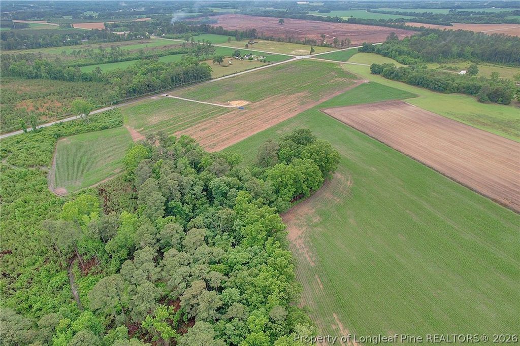 Lot 9 Buie Philadelphus Road, Red Springs, NC 28377 — photo 10