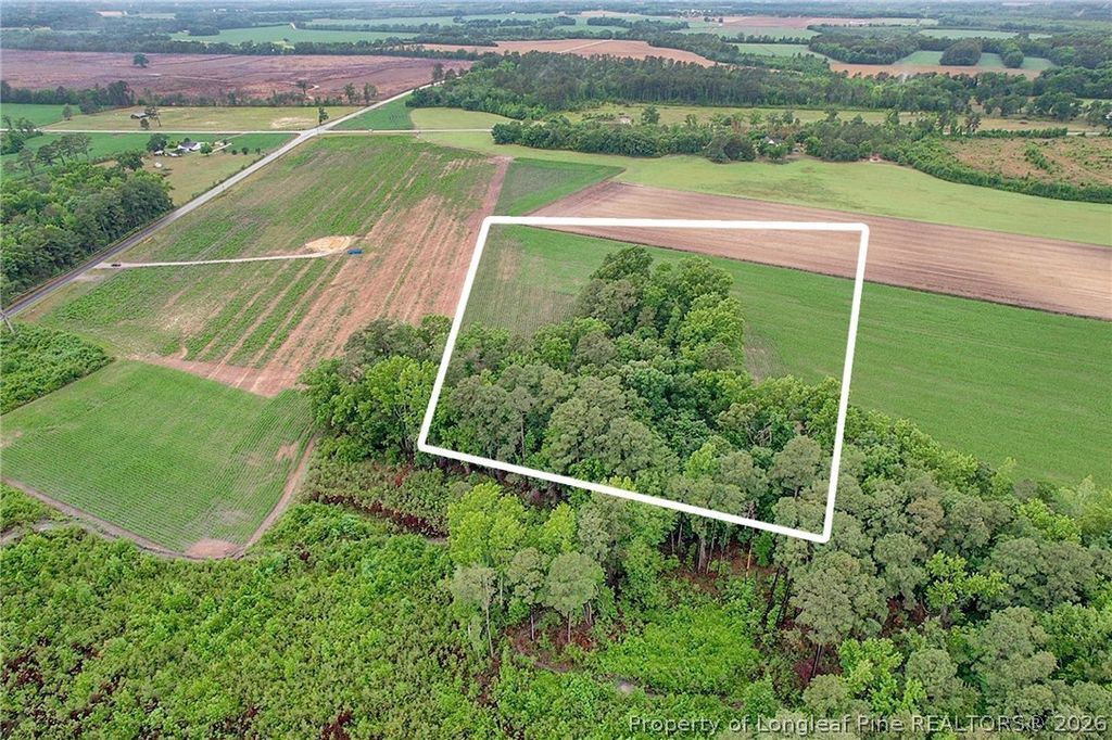 Lot 9 Buie Philadelphus Road, Red Springs, NC 28377 — photo 11