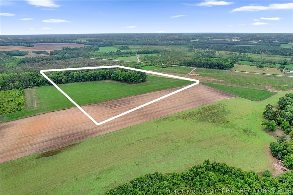 Lot 9 Buie Philadelphus Road, Red Springs, NC 28377 — photo 12