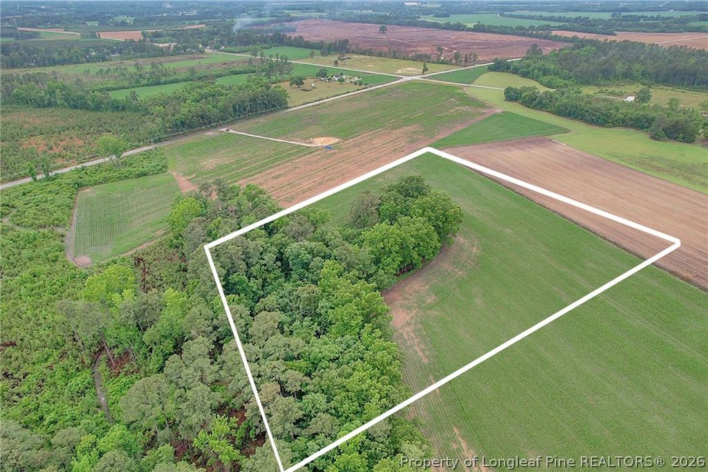 Lot 9 Buie Philadelphus Road, Red Springs, NC 28377 — photo 14